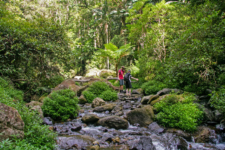 Clint, Maz, Coomera Gorge