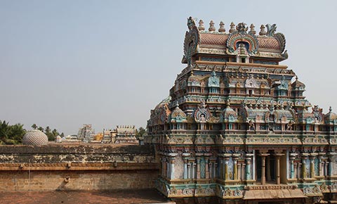 Sri Ranganathaswamy Temple has a lot of towers, & is the largest functioning Hindu temple in the world