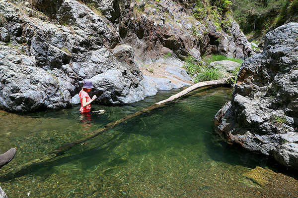 Bronwen getting quite wet