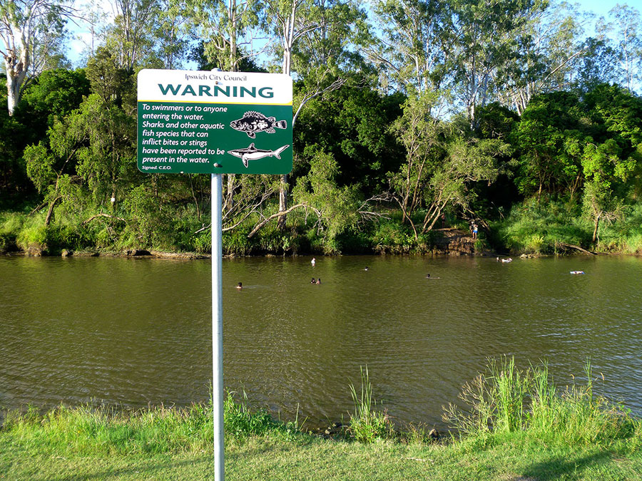 They have replaced the Bull Shark warning sign with a more generic, and less scary, one about aquatic species that can inflict bites or stings.