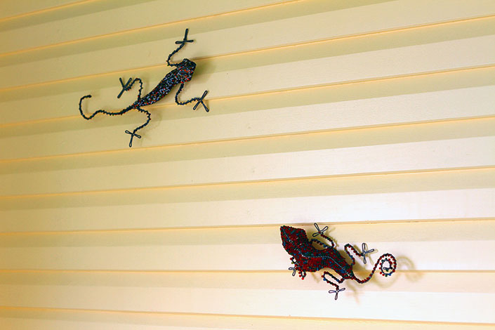 Lizards nailed to the wall