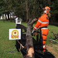 Scarecrows at Tamborine Mountain Scarecrow Festival