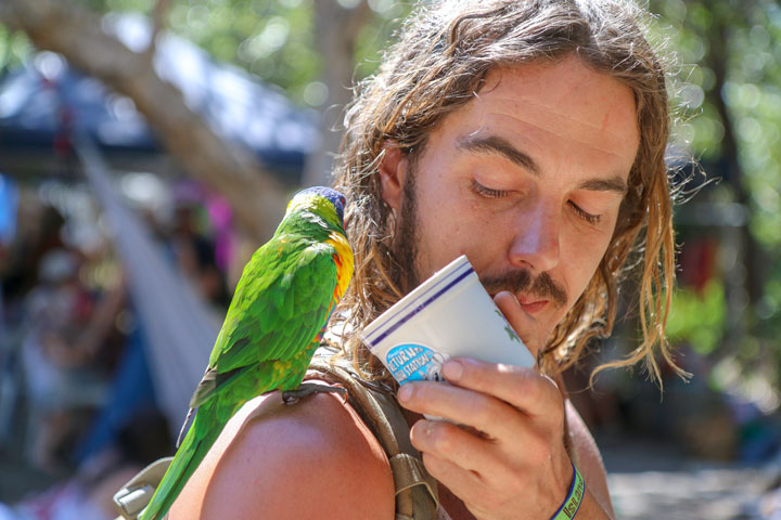 Island Vibe Festival 2019, Stradbroke Island