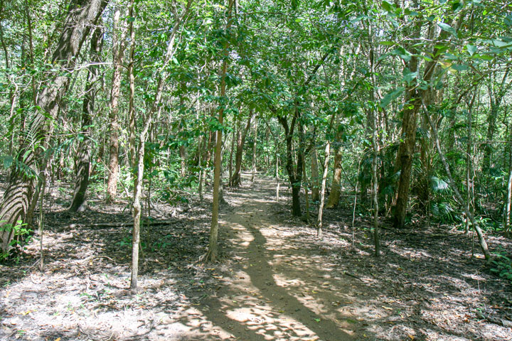 Fogg Dam Conservation Reserve, Northern Territory