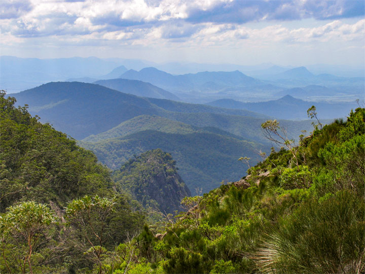 Bushwalk up Mt Barney  via South (Peasant's) Ridge