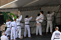 Moon Lee Taekwondo, Korean Multicultural Festival