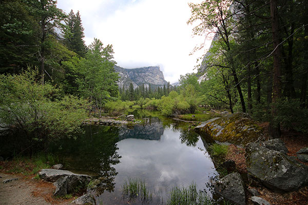 Tenaya Creek in Yosemite