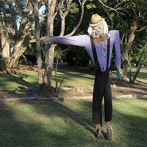 Tamborine Mountain Scarecrow Festival