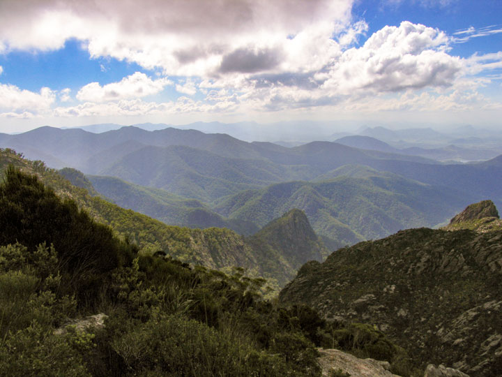 Bushwalk up Mt Barney  via South (Peasant's) Ridge