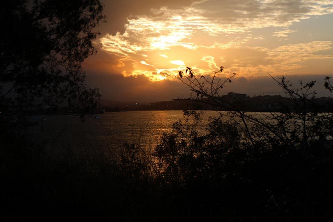 “Elements in the Park” at Colmslie Beach Reserve