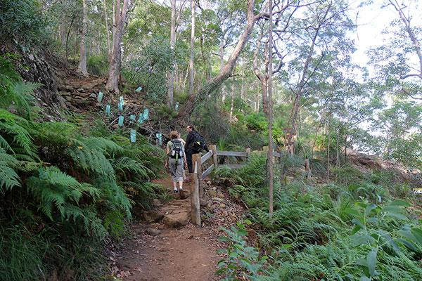 They have put steps in so the walk no longer goes anywhere steep