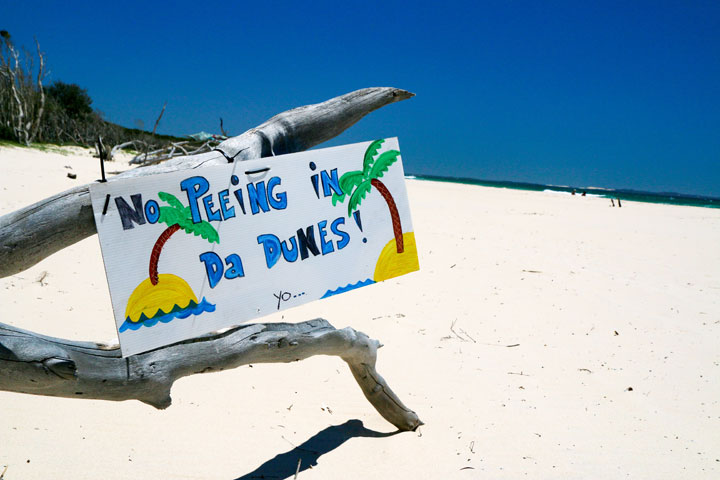 “No Peeing in da Dunes”, Island Vibe Festival 2017, Stradbroke Island