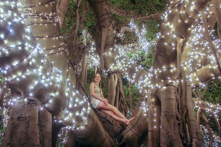 Bronwen in a lit-up tree at QUT Gardens Point