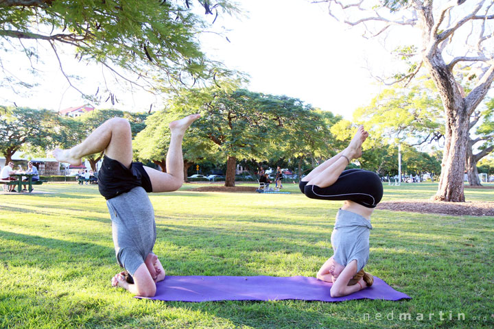 Bronwen, Acro at New Farm Park