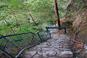 Walkway at Kondalilla Falls