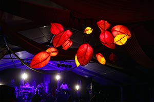 The Amazing Woodford Folk Festival
