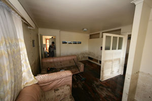 Bronwen & the living room after the first day of cleaning