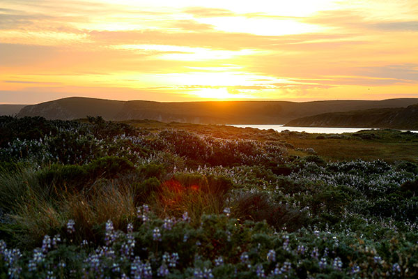 Sunset at Point Reyes National Seashore