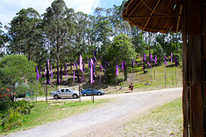 Bunting at The Grande