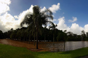 Toowong Park flooded