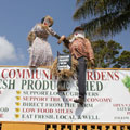 Scarecrows at Tamborine Mountain Scarecrow Festival