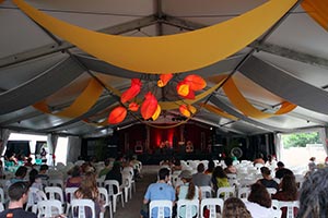 The Amazing Woodford Folk Festival