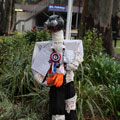 Scarecrows at Tamborine Mountain Scarecrow Festival