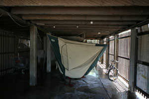 My tent hanging to dry, or perhaps a house for bats?