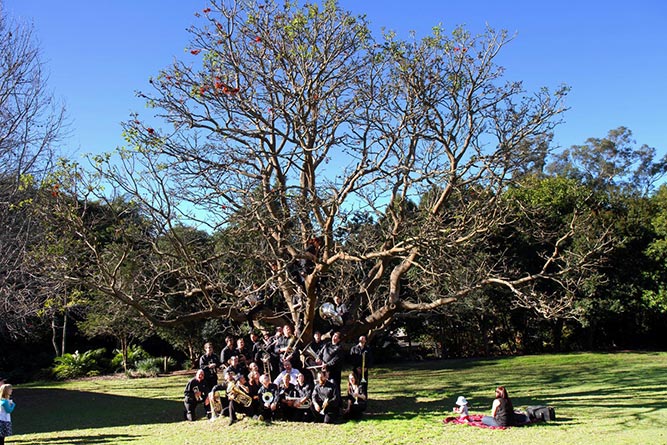 Bands in the Park, Mt Coot-Tha Botanical Gardens