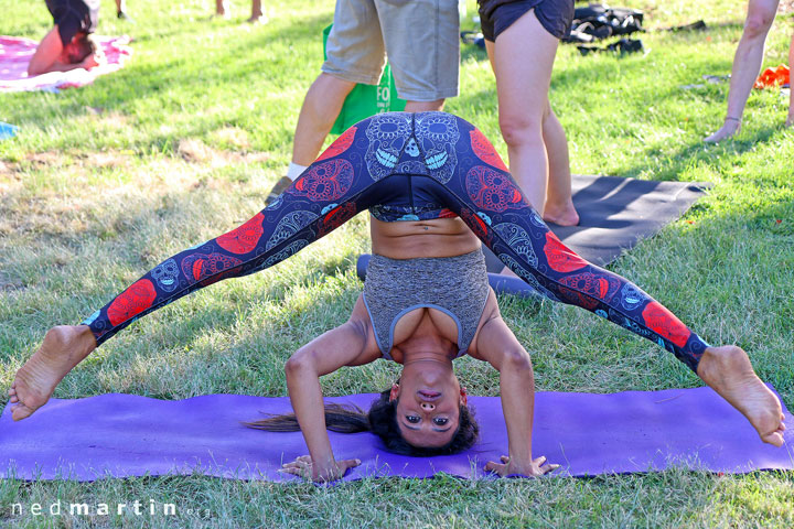 Acro at New Farm Park