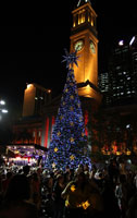 The Lord Mayor’s Christmas Tree, shortly after being lit