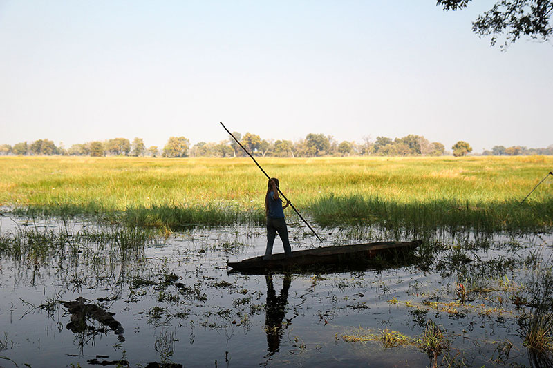 Bronwen, Okavango Delta, Botswana