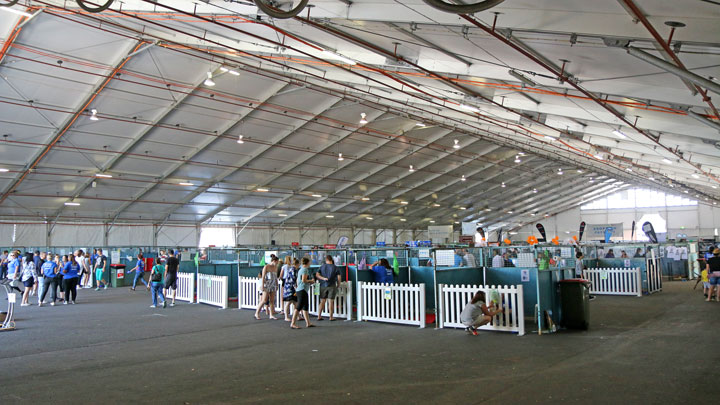 RSPCA Big Adopt Out, Brisbane Showgrounds