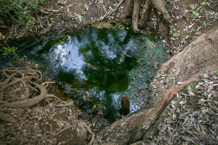 Katherine Hot Springs, Northern Territory