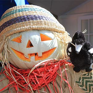 Tamborine Mountain Scarecrow Festival