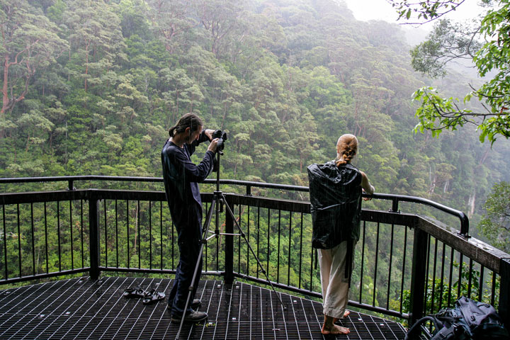 Maz, Bronwen, Coomera Circuit, Lamington National Park