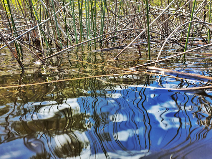 Brown Lake