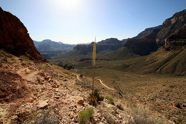 Bronwen’s walk down into the Grand Canyon