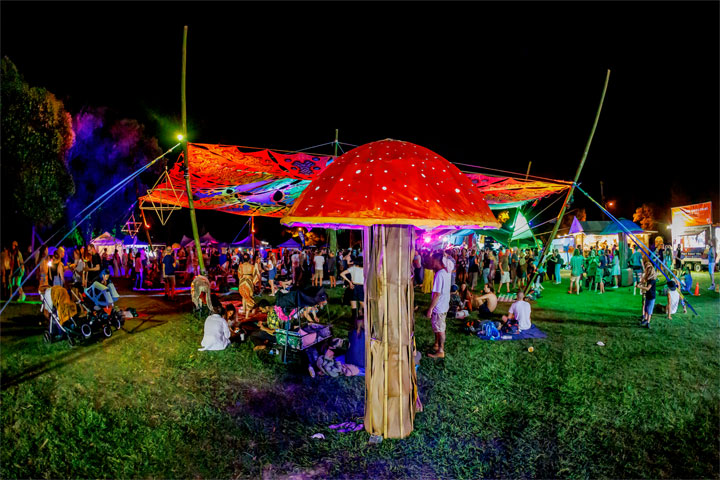 Chocolate Strings, Micro Island Vibe Festival, Stradbroke Island