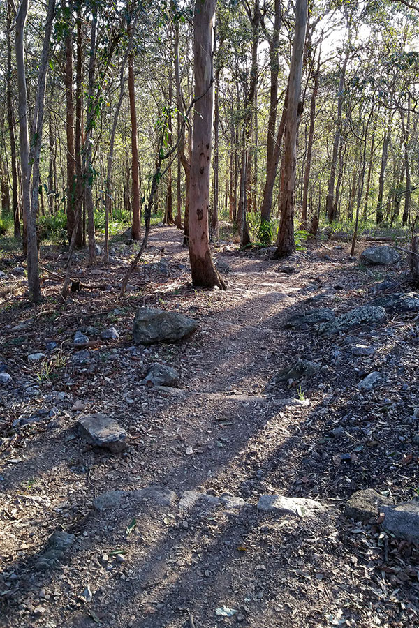 Walking up Mount Gravatt