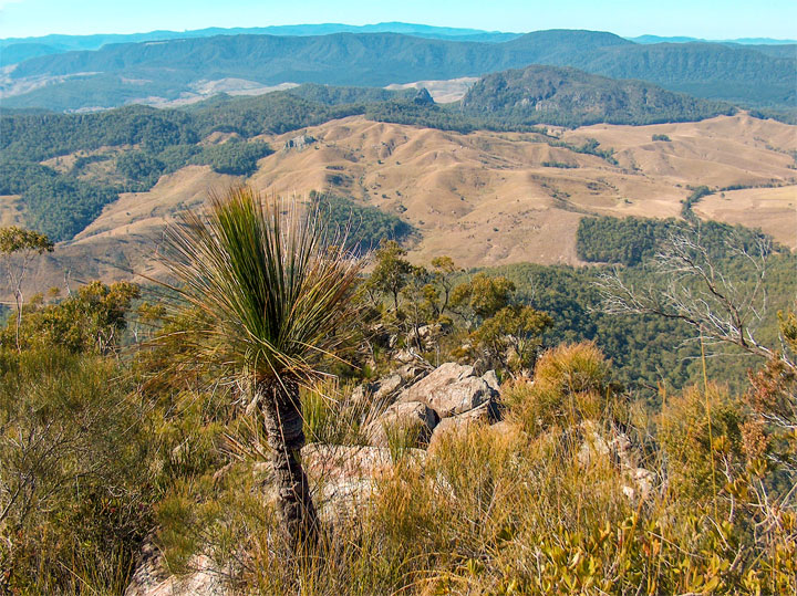 The view from Mt Barney