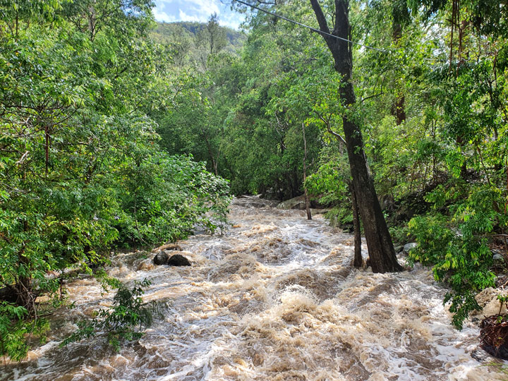 Cedar Creek in flood