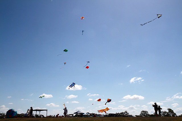 Brisbane Kite Festival