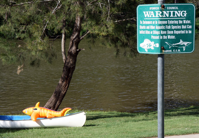 Sharks, College’s Creek