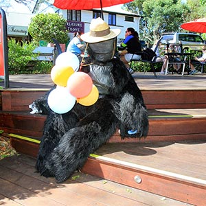 Tamborine Mountain Scarecrow Festival