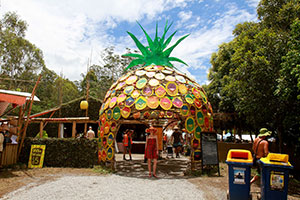 Bronwen outside The Pineapple