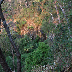 Cameron Falls