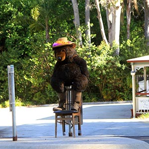 Tamborine Mountain Scarecrow Festival