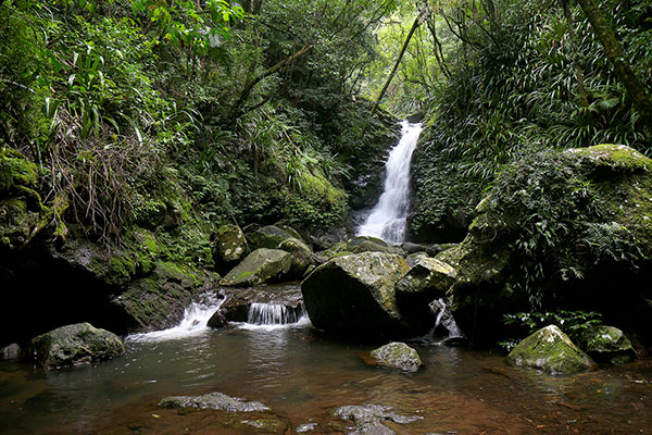 A very small, but scenic, waterfall