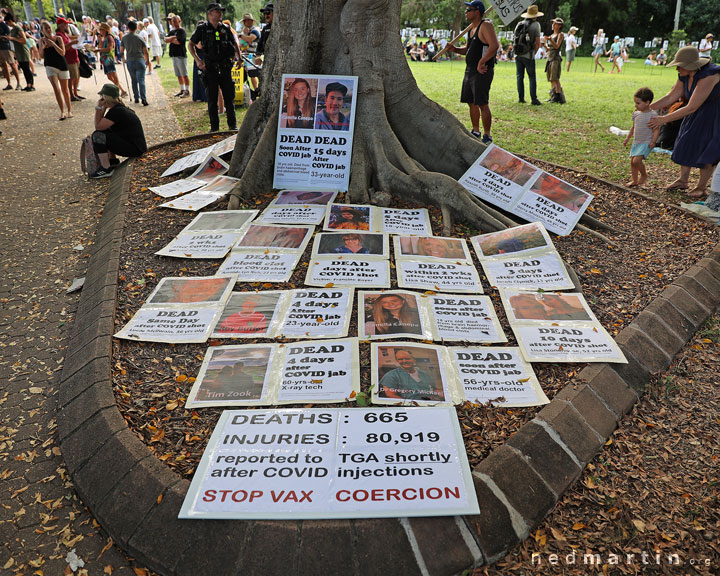 Freedom Rally, Brisbane